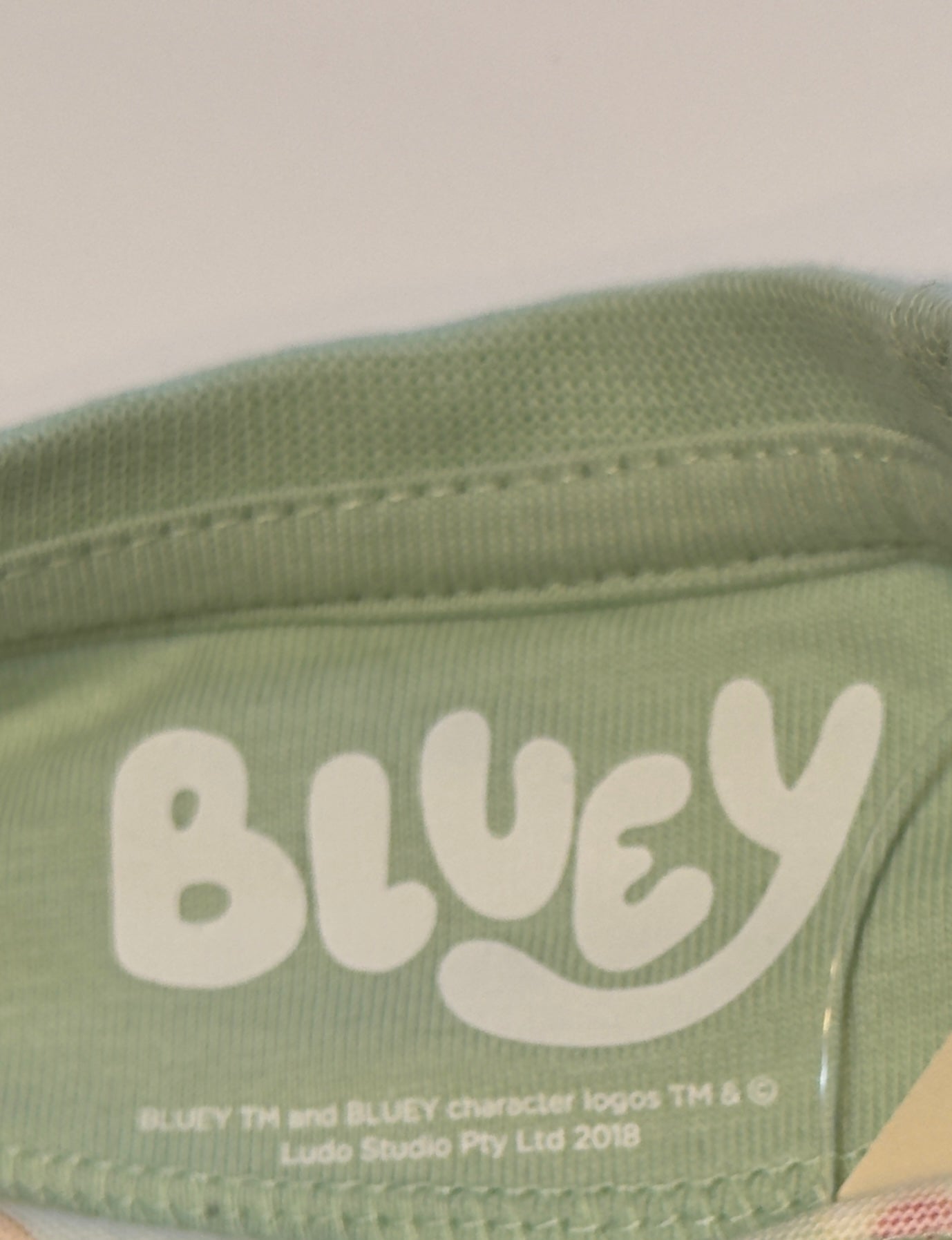 Bluey Print Girls Nightsuit