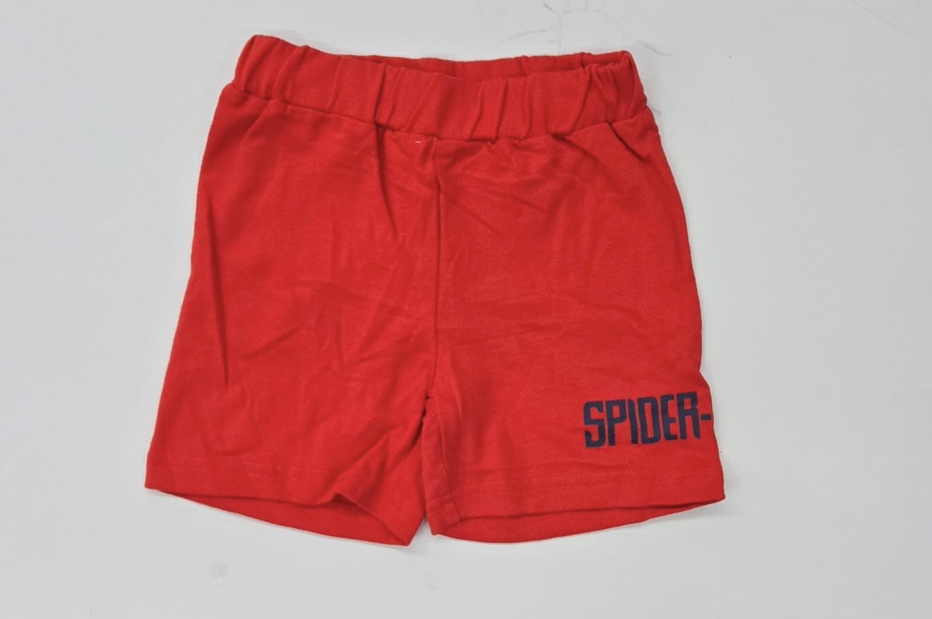 Boys Spider Print Shorts
