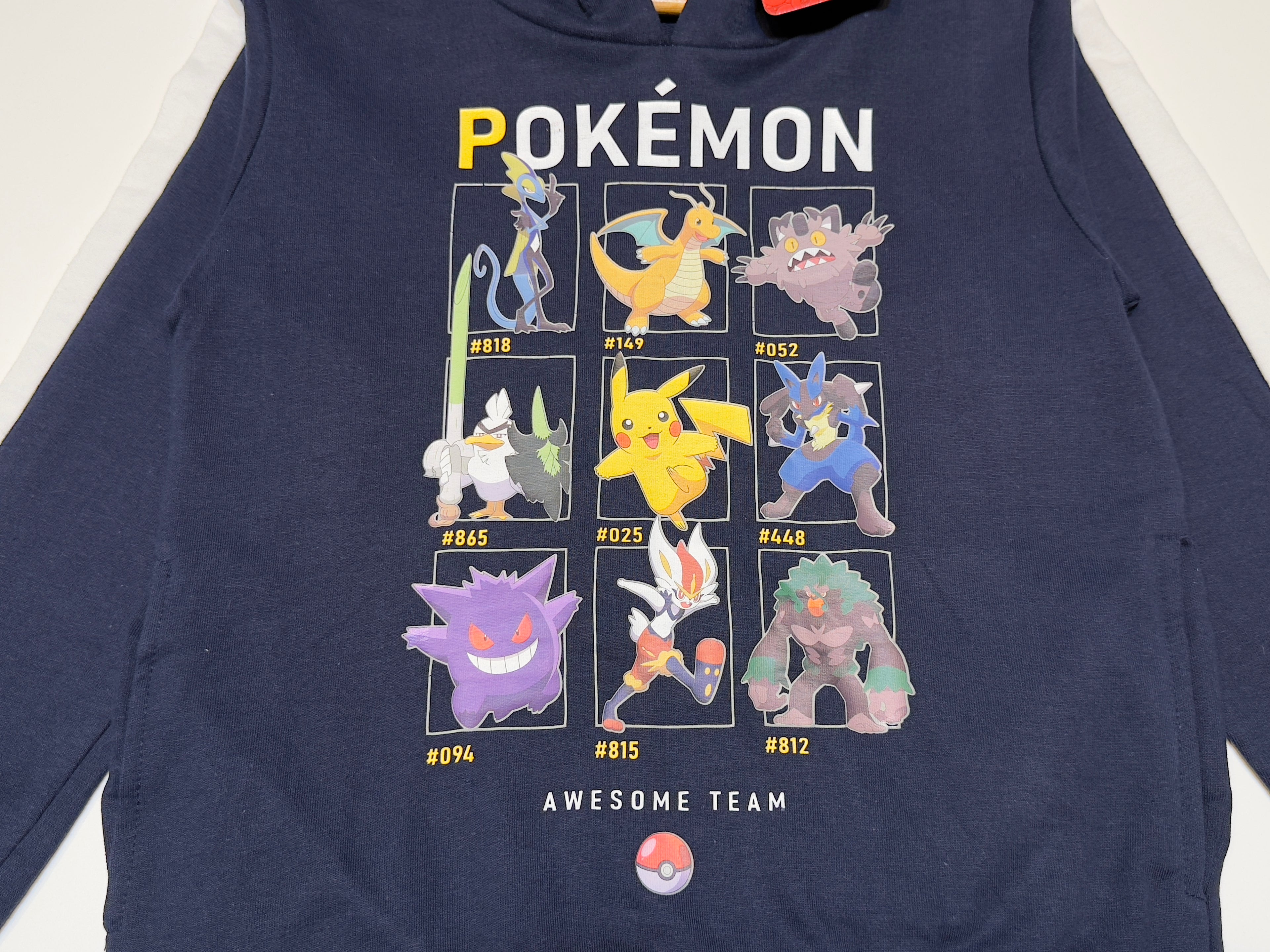 Unisex Pokémon Hoodie – Awesome Team Edition