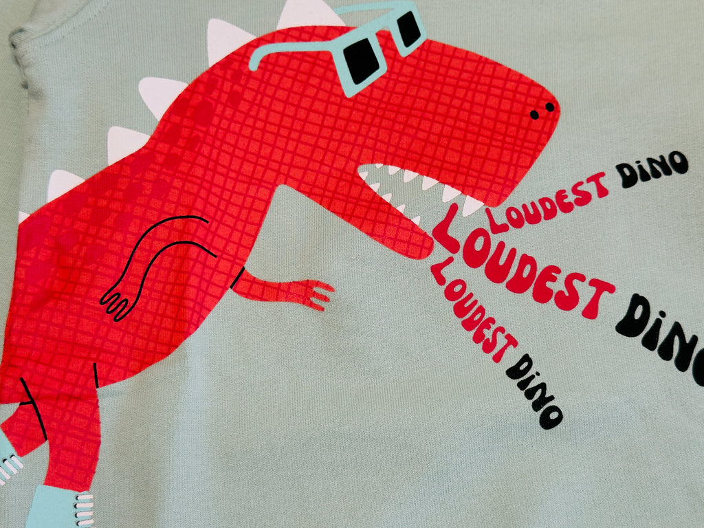 Dino Print Boys Sweatshirt