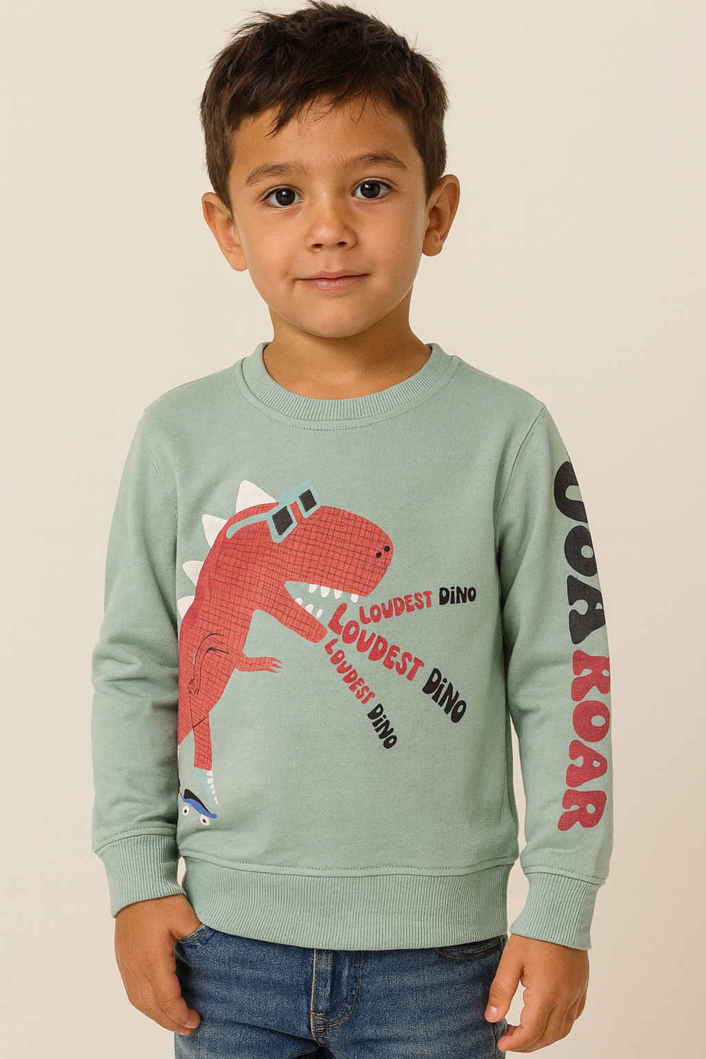 Dino Print Boys Sweatshirt