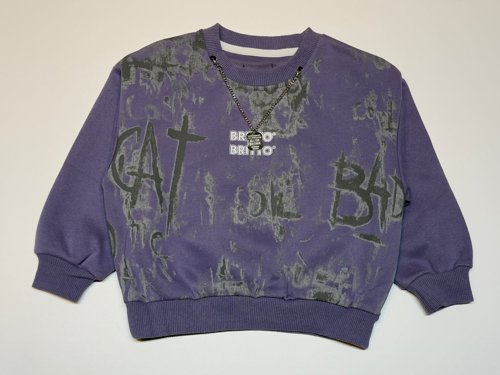 Imported Unisex Graphic Sweatshirt – Purple Streetwear Style