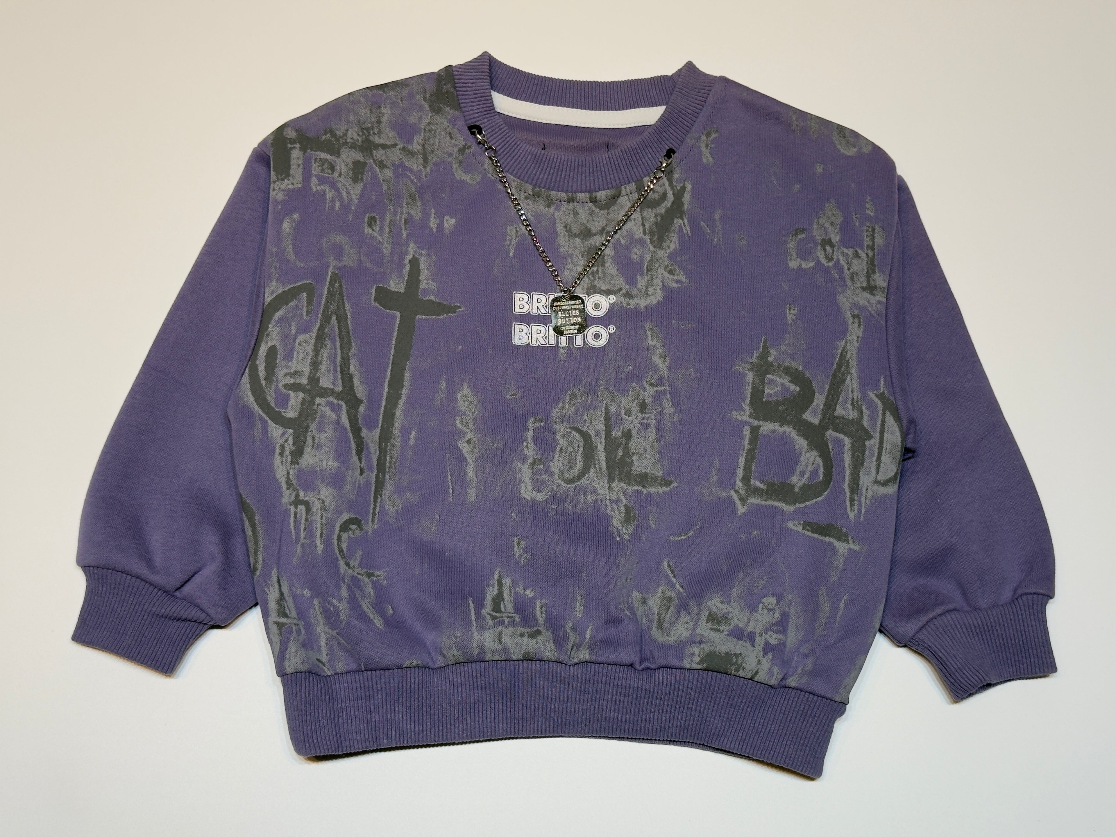 Imported Unisex Graphic Sweatshirt – Purple Streetwear Style