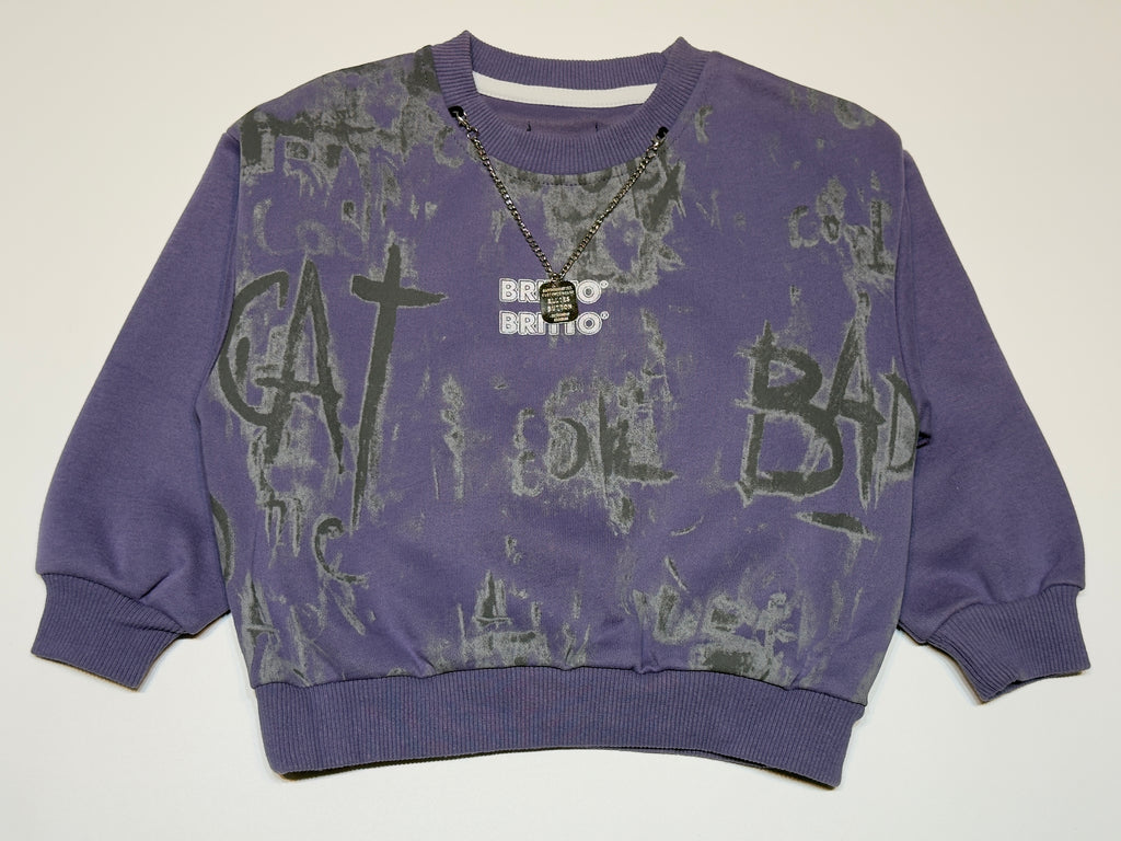 Imported Unisex Graphic Sweatshirt – Purple Streetwear Style