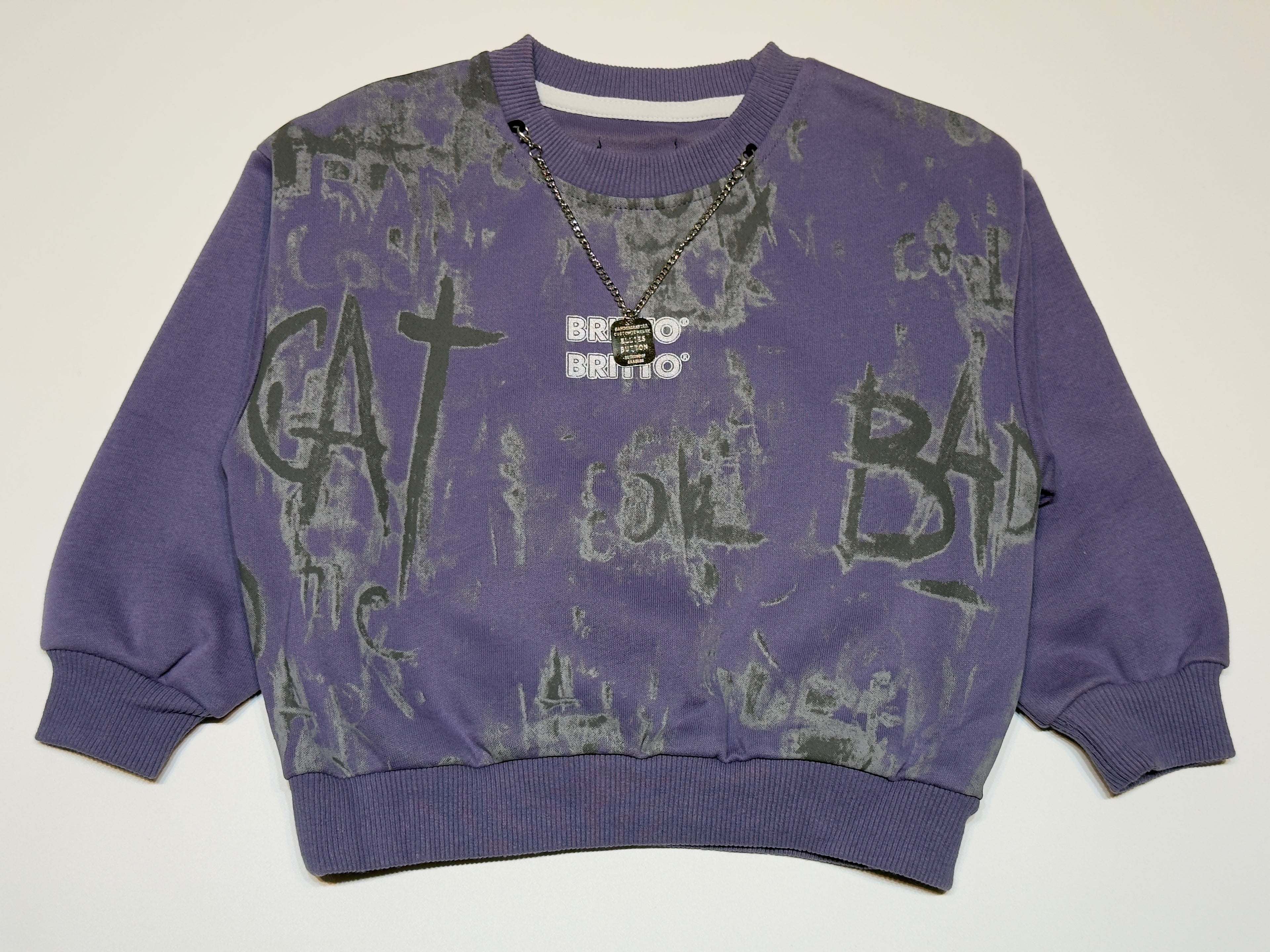 Imported Unisex Graphic Sweatshirt – Purple Streetwear Style