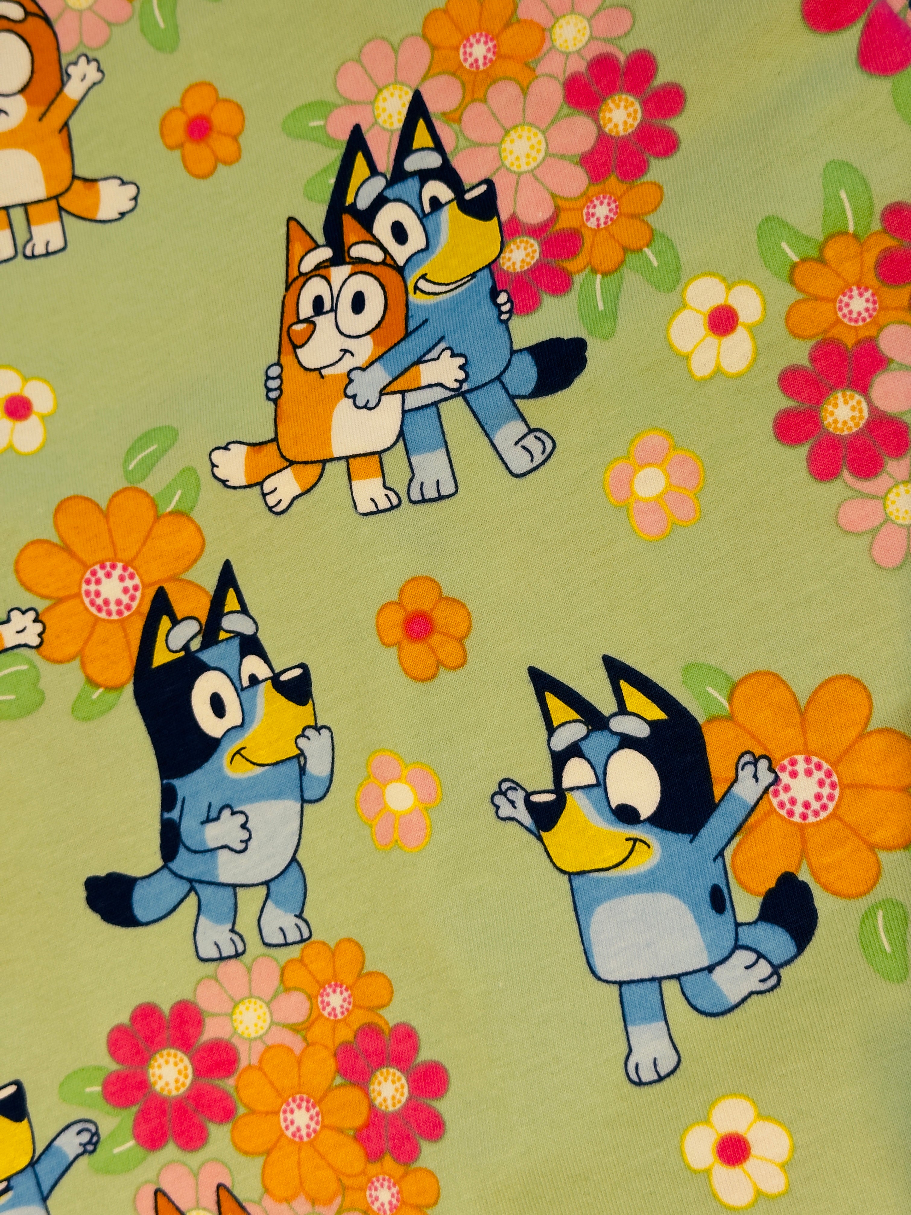 Bluey Print Girls Nightsuit