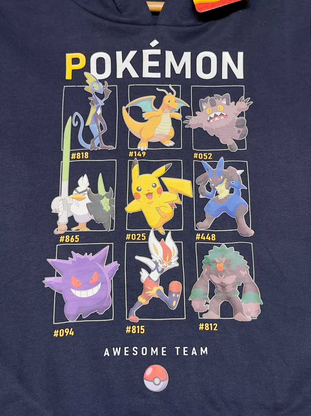 Unisex Pokémon Hoodie – Awesome Team Edition