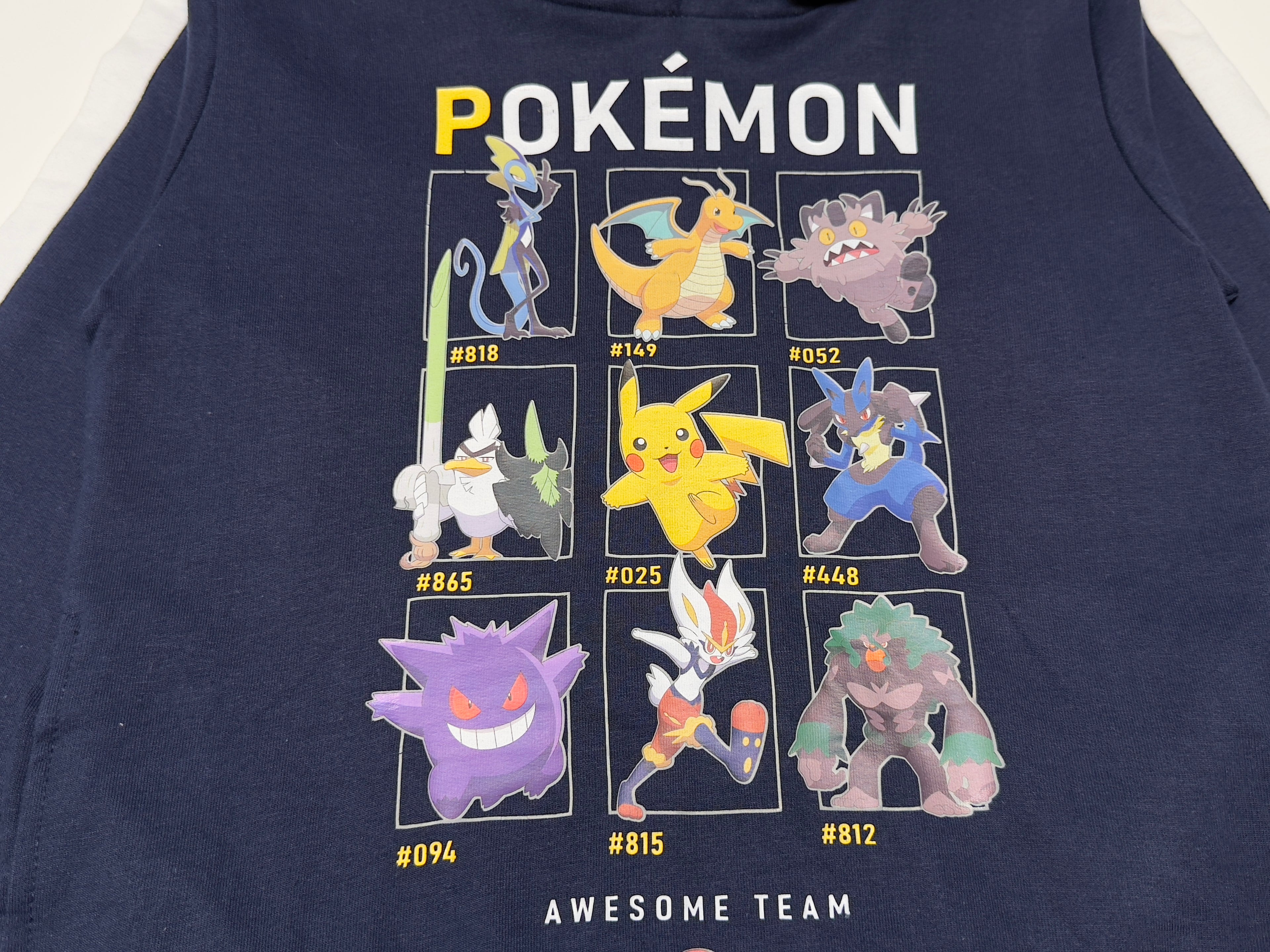 Unisex Pokémon Hoodie – Awesome Team Edition