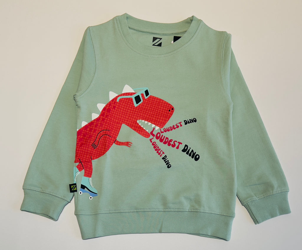 Dino Print Boys Sweatshirt