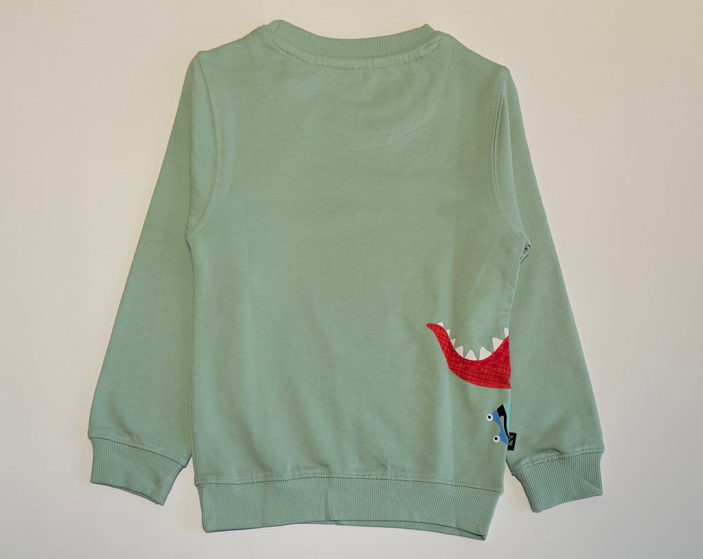 Dino Print Boys Sweatshirt